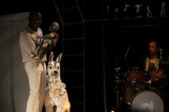 White Dog 36 * 6240 x 4160 * (5.39MB)